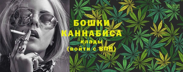 индика Сафоново