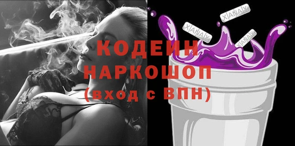 индика Сафоново