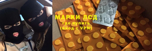 индика Сафоново