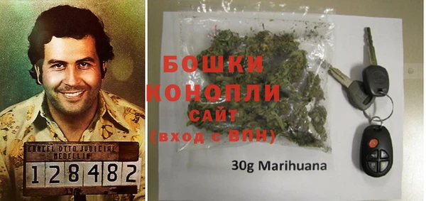 индика Сафоново