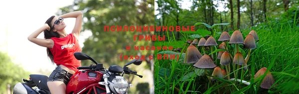 марки lsd Семёнов