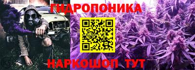 прущие крисы Абинск