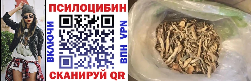 Псилоцибиновые грибы мухоморы ссылка на мегу маркетплейс Алексеевка магазин продажи наркотиков