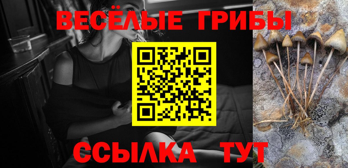 Алексеевка  Галлюциногенные грибы GOLDEN TEACHER  Вход с VPN 
