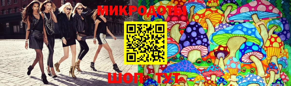 Псилоцибиновые грибы Cubensis Алексеевка