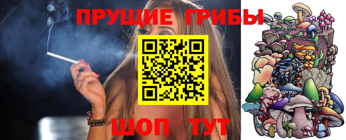 Псилоцибиновые грибы мицелий Алексеевка